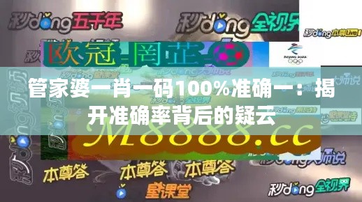 管家婆一肖一码100%准确一:揭开准确率背后的疑云