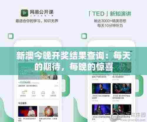 新澳今晚开奖结果查询：每天的期待，每晚的惊喜