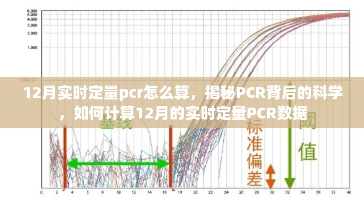 揭秘PCR背后的科学,如何计算12月的实时定量PCR数据解析与算法解析