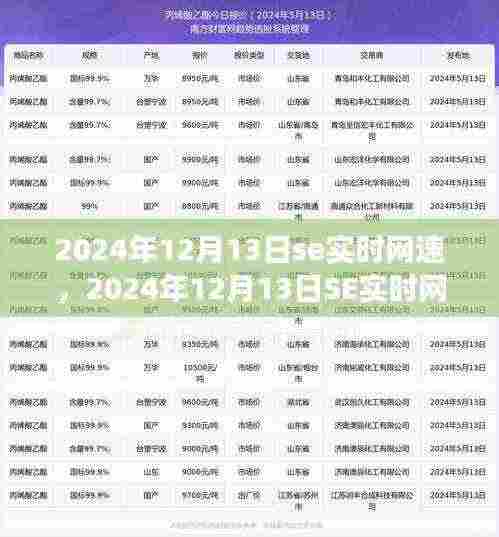 关于SE实时网速的深入洞察与体验,2024年12月13日的实时网速评测