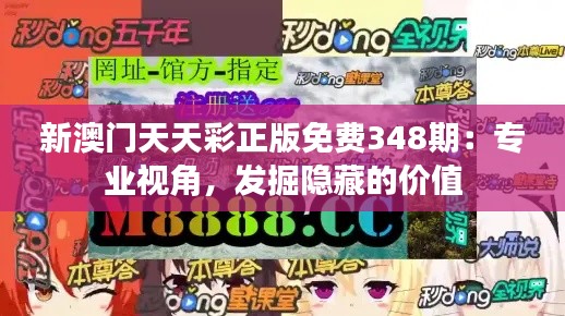 新澳门天天彩正版免费348期:专业视角,发掘隐藏的价值