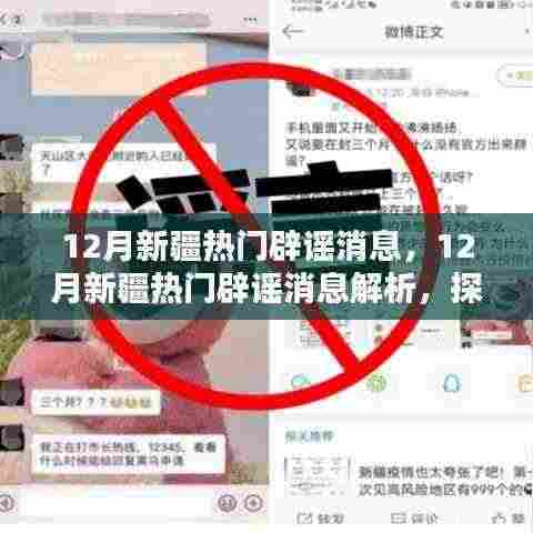 12月新疆热门辟谣消息解析，探究真相与舆论的力量