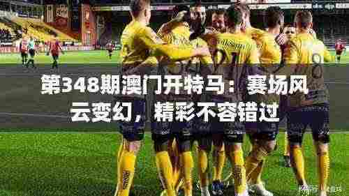 第348期澳门开特马:赛场风云变幻,精彩不容错过