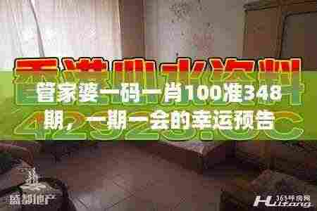 管家婆一码一肖100准348期，一期一会的幸运预告