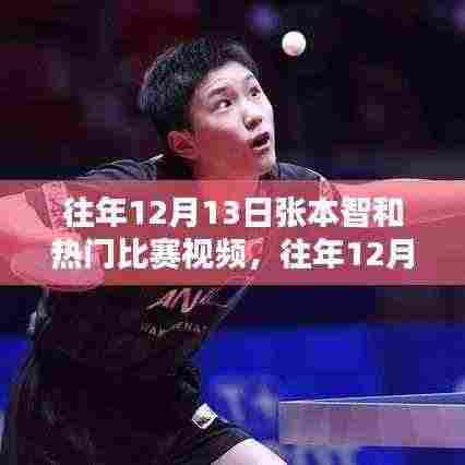 往年12月13日张本智和热门比赛视频深度解析与评测,特性、体验、对比全解析