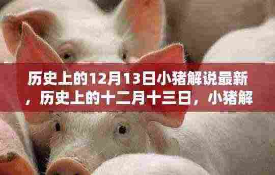 小猪解说回顾，历史上的十二月十三日那些难忘瞬间