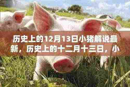 小猪解说回顾,历史上的十二月十三日那些难忘瞬间