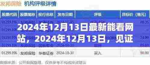 见证新时代,最新网站上线,开启新篇章(2024年12月13日)