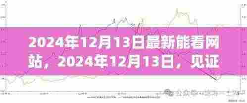 见证新时代,最新网站上线,开启新篇章(2024年12月13日)