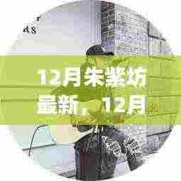 深度解读,12月朱紫坊最新动态及其背后的价值影响