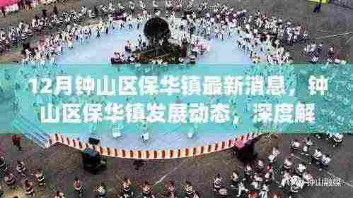 钟山区保华镇十二月最新发展动态解读,深度了解最新消息与进展