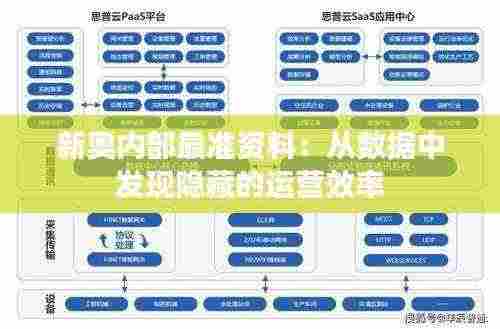 新奥内部最准资料:从数据中发现隐藏的运营效率