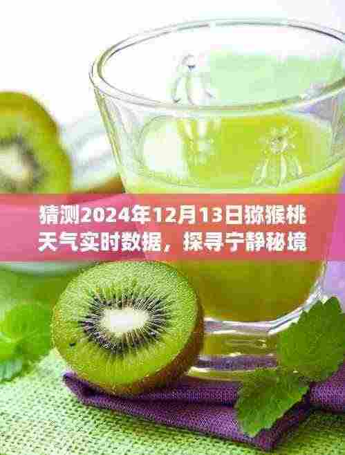 2024年猕猴桃天气预测，探寻宁静秘境的奇妙之旅，启程心灵深处的平和体验