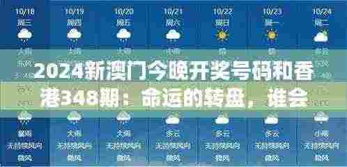 2024新澳门今晚开奖号码和香港348期：命运的转盘，谁会是下个幸运儿