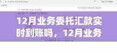 12月业务委托汇款实时到账,启程自然美景探索的金融桥梁