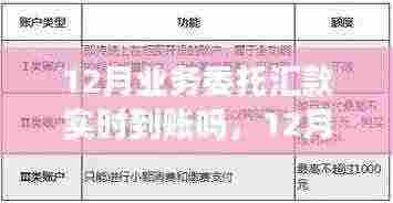12月业务委托汇款实时到账,启程自然美景探索的金融桥梁