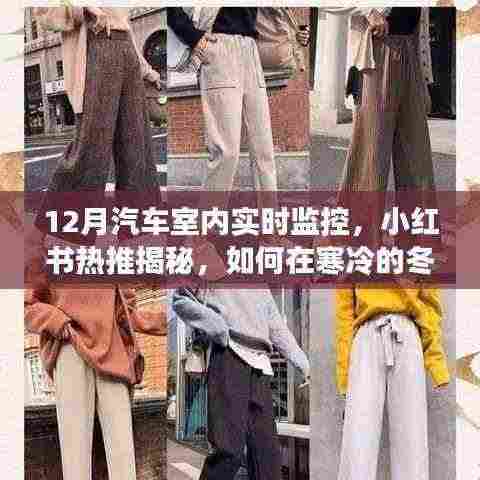 冬季汽车室内实时监控指南，小红书热推秘籍，科技新风尚带你飞！