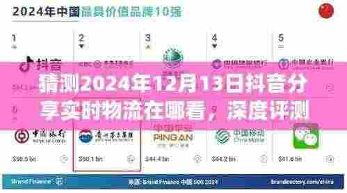 2024年抖音物流分享功能深度评测与预测,实时追踪物品位置