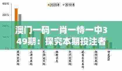 澳门一码一肖一恃一中349期:探究本期投注者行为与决策过程