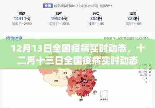 全国疫病实时动态概览,最新数据与防控进展(12月13日)