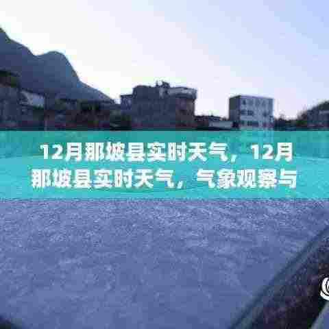 12月那坡县实时天气预报及旅行建议