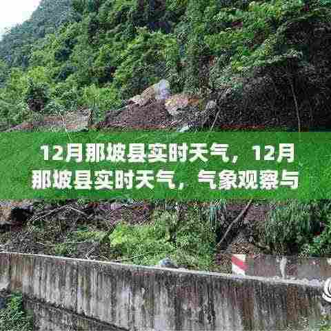 12月那坡县实时天气预报及旅行建议