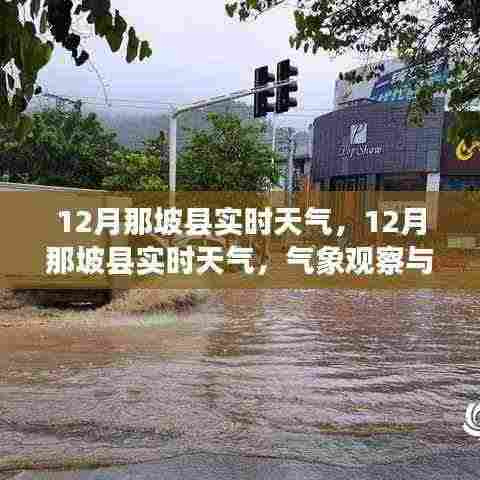 12月那坡县实时天气预报及旅行建议