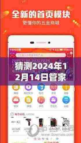 猜测2024年12月14日管家婆一码一肖100中奖：一场关于运气与概率的游戏