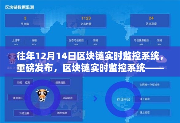 区块链实时监控系统，科技巨擘重塑监控格局，开启智能时代新纪元重磅发布