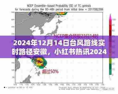 台风实时路径追踪，安徽如何应对即将到来的风暴？