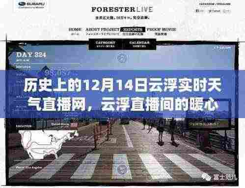 云浮直播间的暖心日常,冬日暖阳下的云浮天气直播纪实