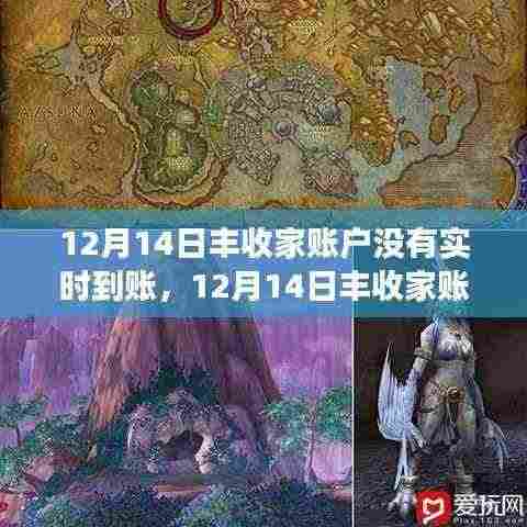 揭秘背后真相,12月14日丰收家账户未实时到账事件及其影响