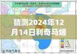揭秘利奇马烟花在2024年12月14日的实时路径预测与未来之旅探索