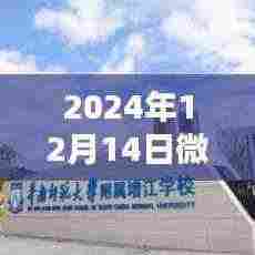 揭秘微博新纪元，实时互动不掉队的高科技体验，未来触手可及（2024年微博实时指南）