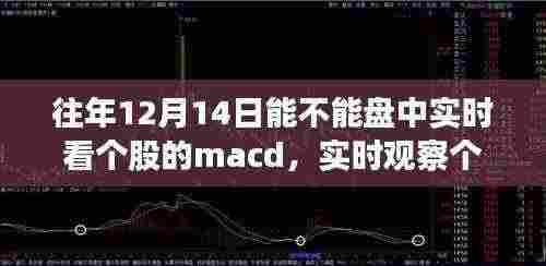 实时观察个股MACD走势,往年12月14日的体验与全面评测