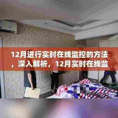 深入解析与全面评测,12月实时在线监控方法实战指南