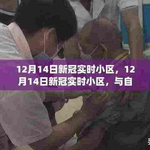 12月14日新冠实时小区,自然美景中的内心平和之旅