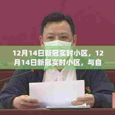 12月14日新冠实时小区,自然美景中的内心平和之旅