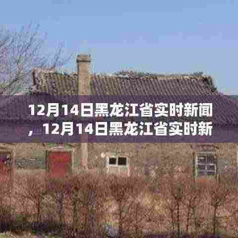 黑龙江省最新实时新闻报道速递(12月14日)