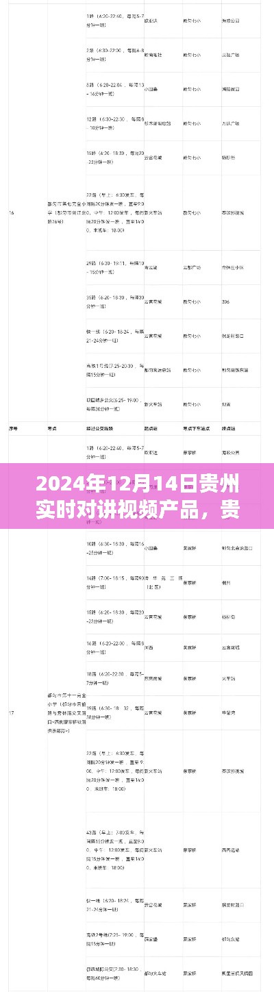 贵州实时对讲视频产品使用指南,初学者与进阶用户适用(2024年12月版)