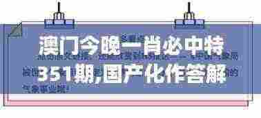 澳门今晚一肖必中特351期,国产化作答解释落实_移动版18.941