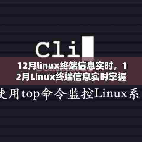 掌握Linux终端实时信息,优化系统监控与管理的关键
