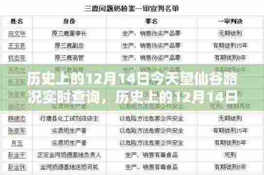 历史上的12月14日望仙谷路况实时查询，深度分析与观点阐述的探讨日