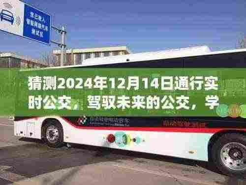 驾驭未来公交,自信成就感的旅程,实时公交变化预测之旅(2024年12月14日)