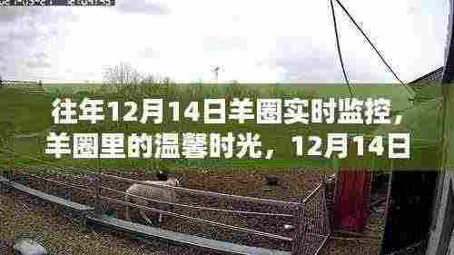 光明磊落 第5页