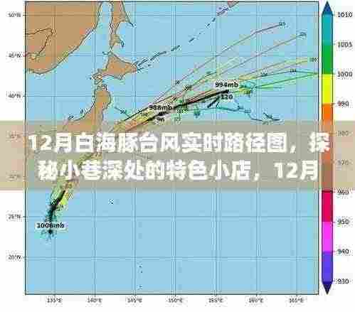 探秘特色小店与白海豚台风实时路径图的奇幻之旅