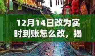 揭秘小巷深处的特色小店,12月14日实时到账大解密与操作指南