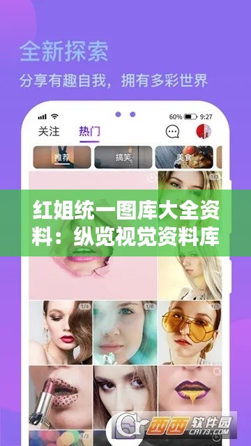 红姐统一图库大全资料:纵览视觉资料库中的创意与整合美学