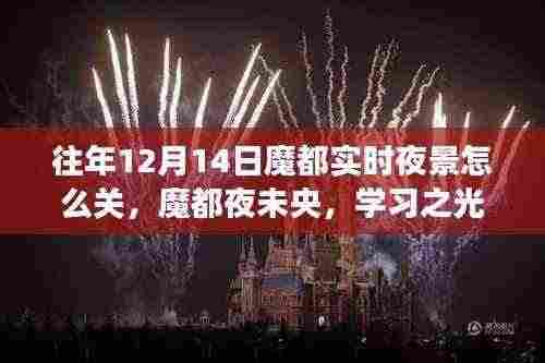 学习之光照亮繁华都市夜景背后的故事,魔都夜未央之十二月十四日实时夜景揭秘
