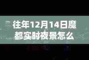 学习之光照亮繁华都市夜景背后的故事,魔都夜未央之十二月十四日实时夜景揭秘